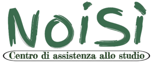 NoiSi Logo